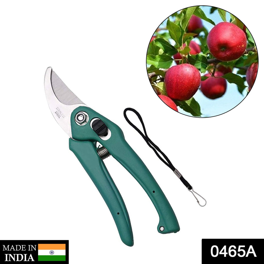 Pruning scissors for garden