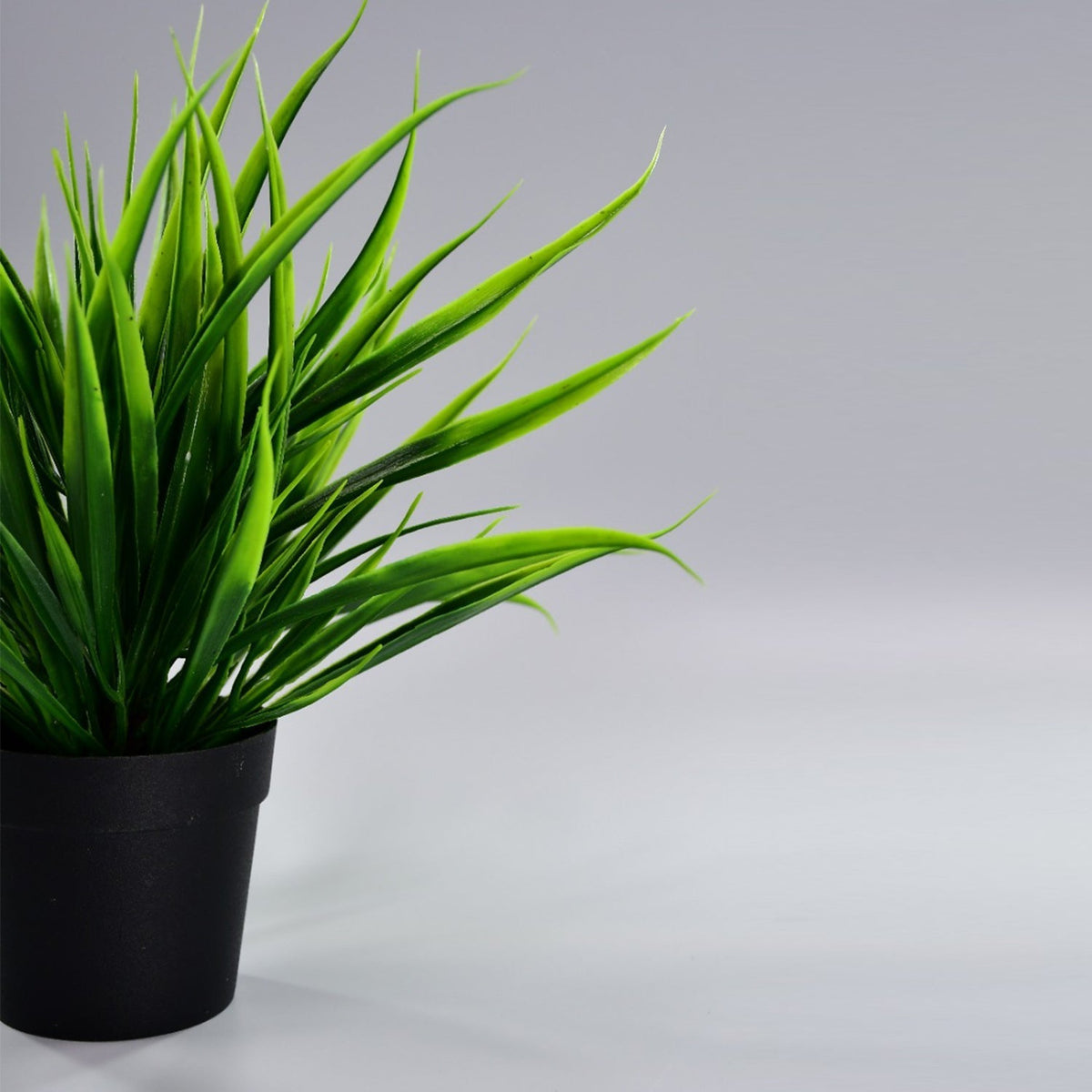 Potted artificial plant with a chic pot design.